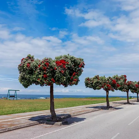 Apartmán Areia E Mar Sul